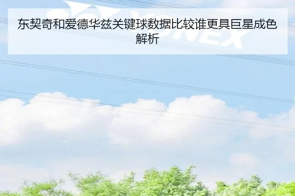 dong-qi-qi-he-ai-de-hua-zi-guan-jian-qiu-shu-ju-bi-jiao-shui-geng-ju-ju-xing-cheng-se-jie-xi-2-610.jpg