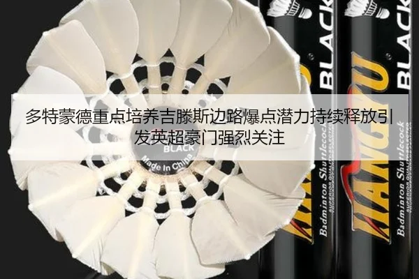 多特蒙德重点培养吉滕斯边路爆点潜力持续释放引发英超豪门强烈关注